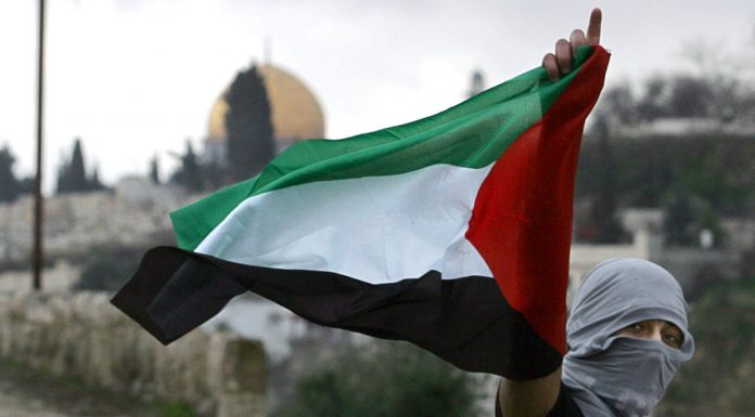 Arrihet armëpushimi në Gaza, palestinezët festojnë nëpër rrugë