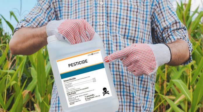 Pesticidet bujqësore po e ulin inteligjencen e fëmijëve