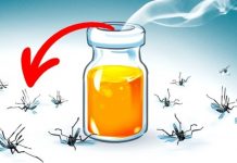 ILAÇI MAGJIK QË LARGON MUSHKONJAT