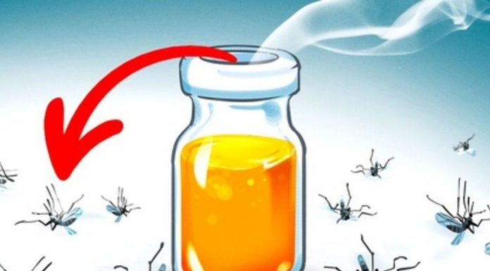 ILAÇI MAGJIK QË LARGON MUSHKONJAT