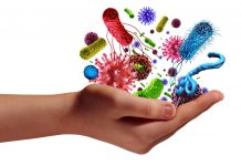 Ekspozimi i hershëm i fëmijëve ndaj mikrobeve siguron një jetë më të shëndetëshme