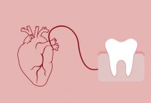 Larja e dhëmbëve mban zemrën të shëndetshme