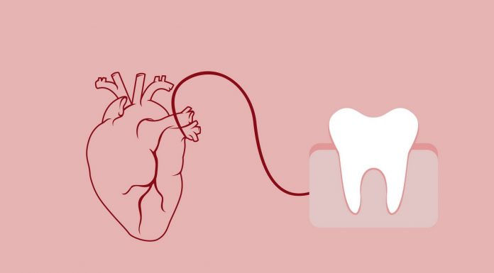 Larja e dhëmbëve mban zemrën të shëndetshme