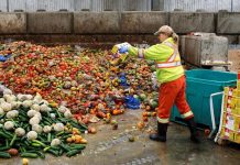 LANSOHET SFIDA E MBETJEVE USHQIMORE