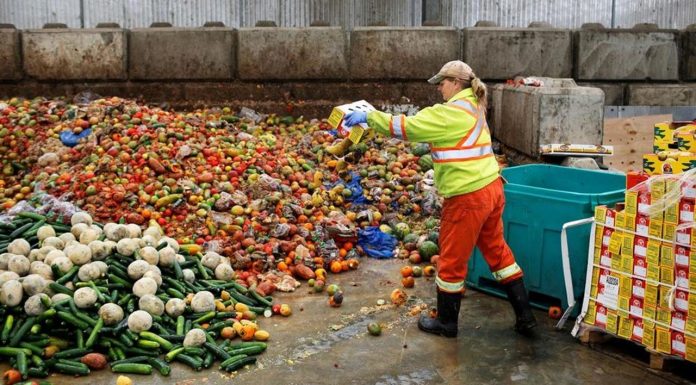 LANSOHET SFIDA E MBETJEVE USHQIMORE