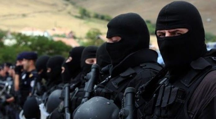 DHJETË VJET NGA AKSIONI POLICOR NË PIKAT KUFITARE NË VERI