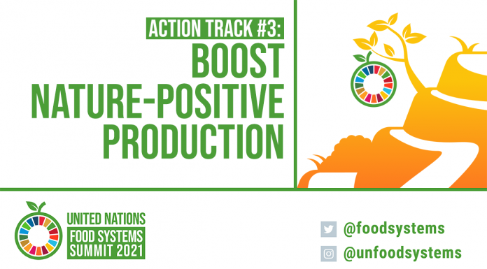 Diskutohet për transformimin e sistemit ushqimor të Kosovës