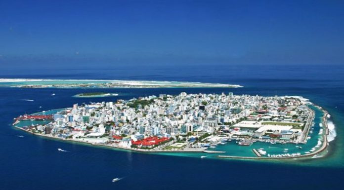 Testimi 4-ditor i Islandës në javën e punës ishte një ‘sukses i jashtëzakonshëm’