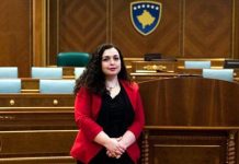 OSMANI VLERËSON DEKLARATËN E KOMUNITETIT TË HELSINKIT PËR PRESHEVËN