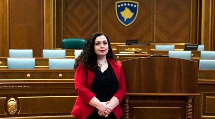 OSMANI VLERËSON DEKLARATËN E KOMUNITETIT TË HELSINKIT PËR PRESHEVËN