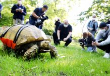 “YOUTUBE” DHE “TIKTOK” ASHPËRSOJNË RREGULLAT