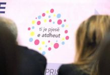 KËTË VIT DIASPORA KA DËRGUAR 95 MILIONË EURO MË SHUMË