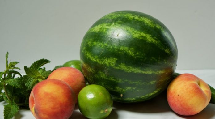 Ushqimet më të mira për tu konsumuar gjatë verës