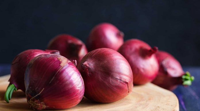 Qepa e kuqe, ilaçi ideal për trajtimin e gjëndrave tiroide