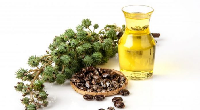 Vaji i ricinit – për trashjen e flokëve, vetullave dhe qerpikëve