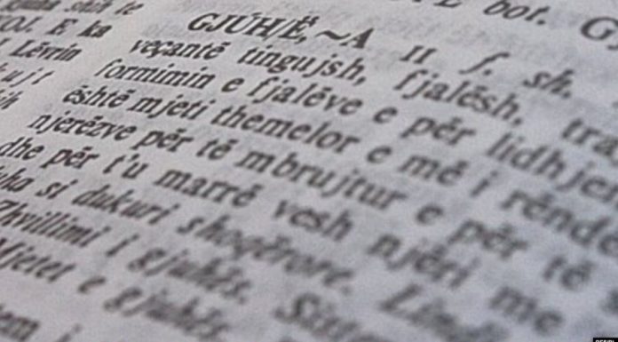 Interesim i madh për Seminarin e Gjuhës Shqipe