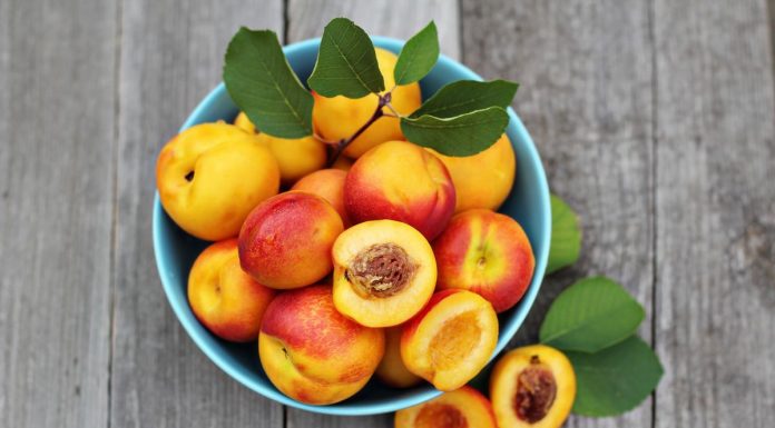 Si të parandalojmë alergjitë ndaj frutave dhe perimeve