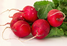 3 Përfitimet shëndetësore nga konsumi i rrepave