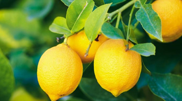 Mësoni dy metoda natyrale për tensionin e lartë