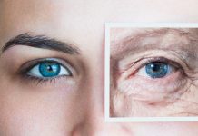 Këto janë ushqimet që mund ta ngadalësojnë plakjen