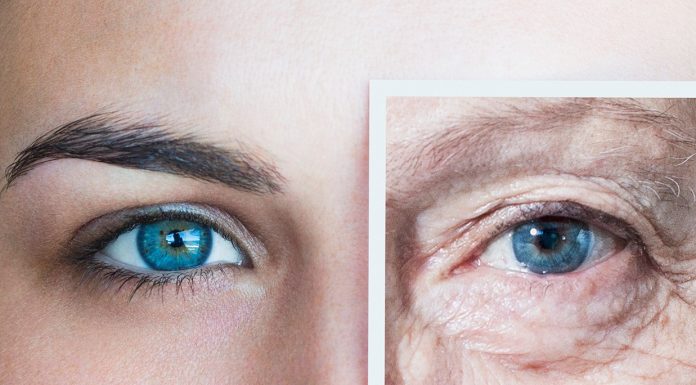 Këto janë ushqimet që mund ta ngadalësojnë plakjen