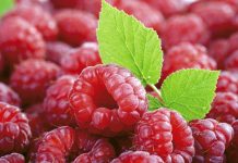 Përfitimet e shumta shëndetësore nga ngrënia e mjedrave