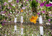 Kopshti përrallor në Tokio me 13.000 orkide “lundruese”