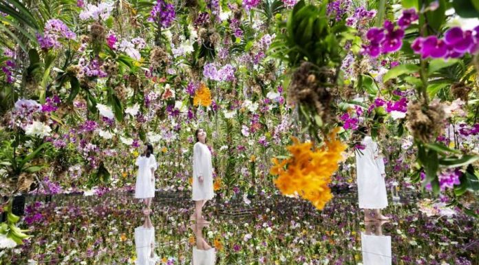 Kopshti përrallor në Tokio me 13.000 orkide “lundruese”