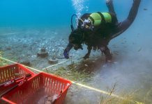 Zbulim i madh në Liqenin e Ohrit, vendbanimi neolitik daton para 8,000 vitesh