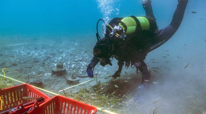Zbulim i madh në Liqenin e Ohrit, vendbanimi neolitik daton para 8,000 vitesh
