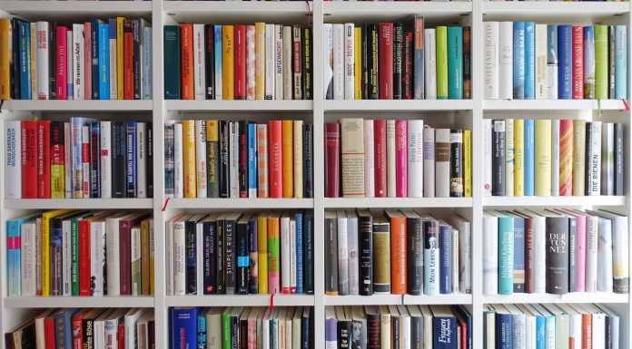 Thënie për librin / 20 shprehjet më të bukura mbi librat