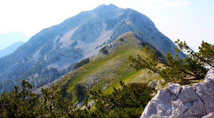 Maja e Valamarës, një thesar i fshehur e Shqipërisë