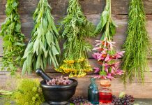 Eksportet e bimëve mjekësore në 45 vende të botës