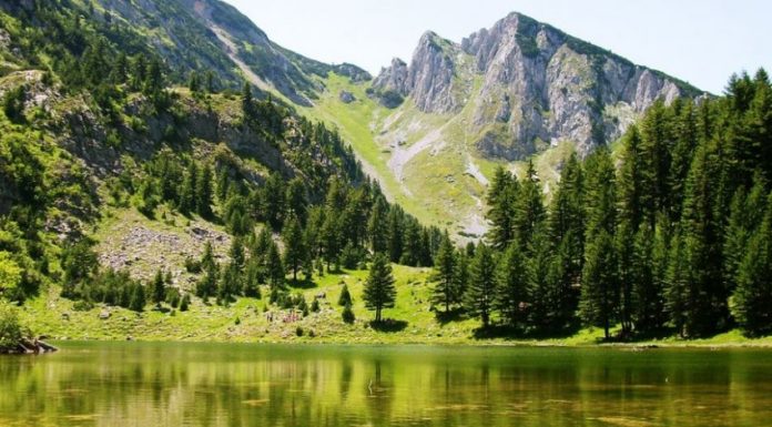 Miratohet raporti për gjendjen e mjedisit në Kosovë