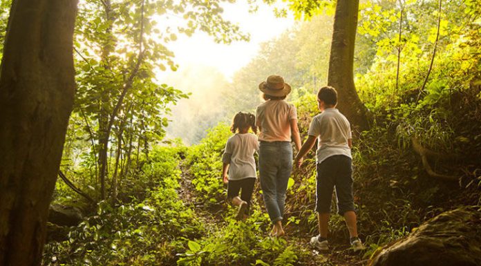 15 tetori, Dita Ndërkombëtare e ecjes në natyrë