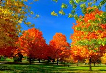 Për herë të tretë, muaji tetor më i ngrohti në histori