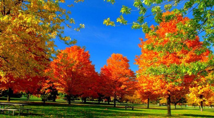 Për herë të tretë, muaji tetor më i ngrohti në histori