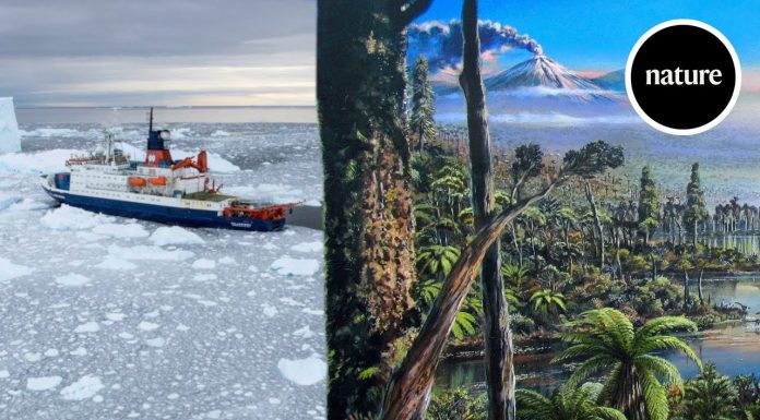 Shkencëtarët gjejnë prova të pyllit të lashtë të ngrohtë në akullin e Antarktikut