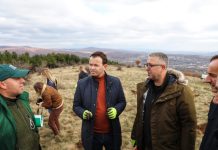 Ministri Faton Peci: 1 milion fidanë për pyllëzim këtë vit