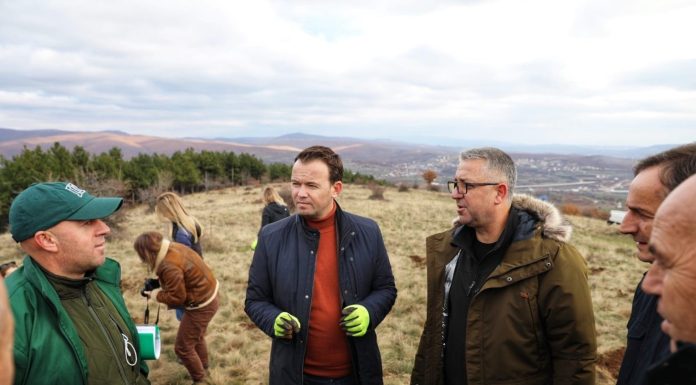 Ministri Faton Peci: 1 milion fidanë për pyllëzim këtë vit